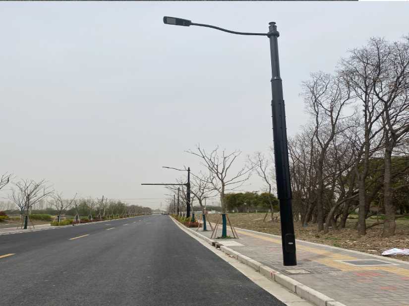 光明区上海综合杆 太阳能路灯工程